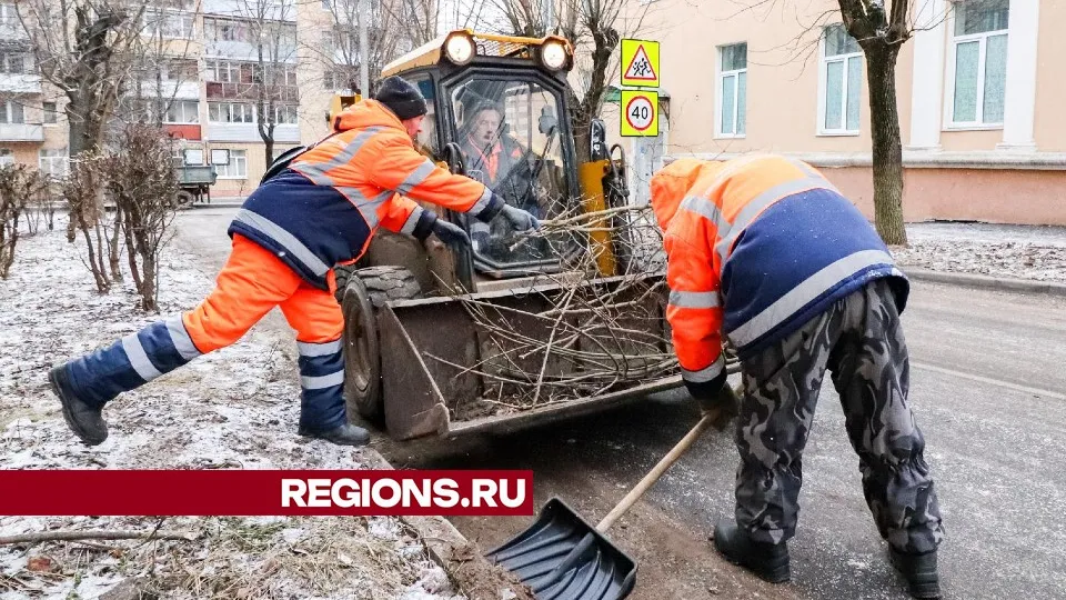 Фото: МедиаБанк Подмосковья/Данила Кирьянов