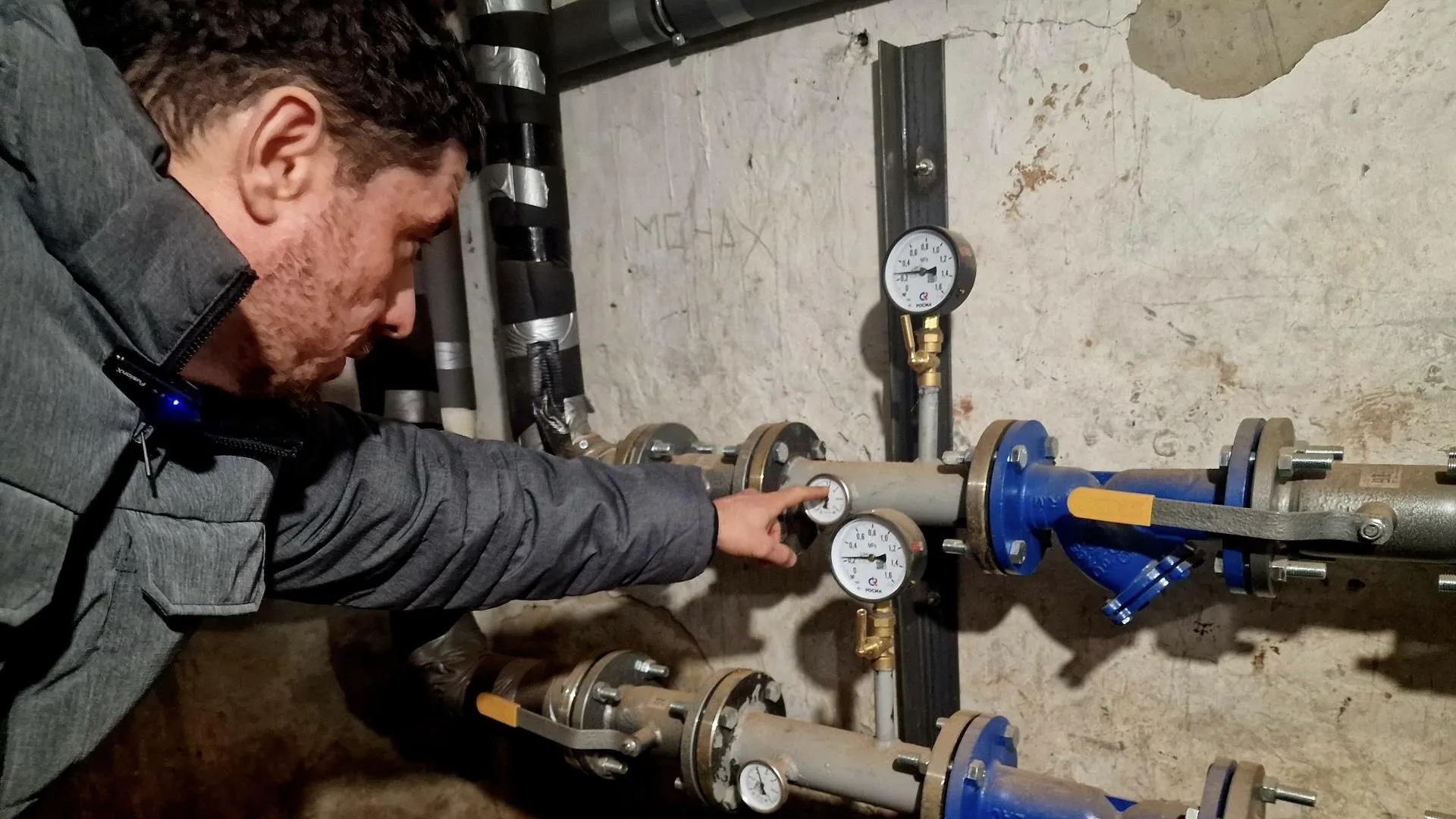 REGIONS/Ольга Шаронова