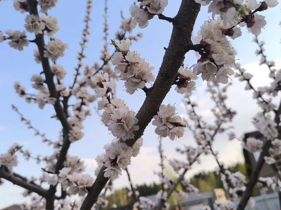 Фото: личный архив Анастасии Савушкиной