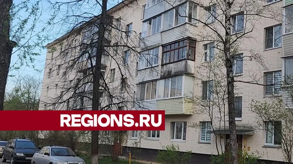 Фото: Светлана Борщева