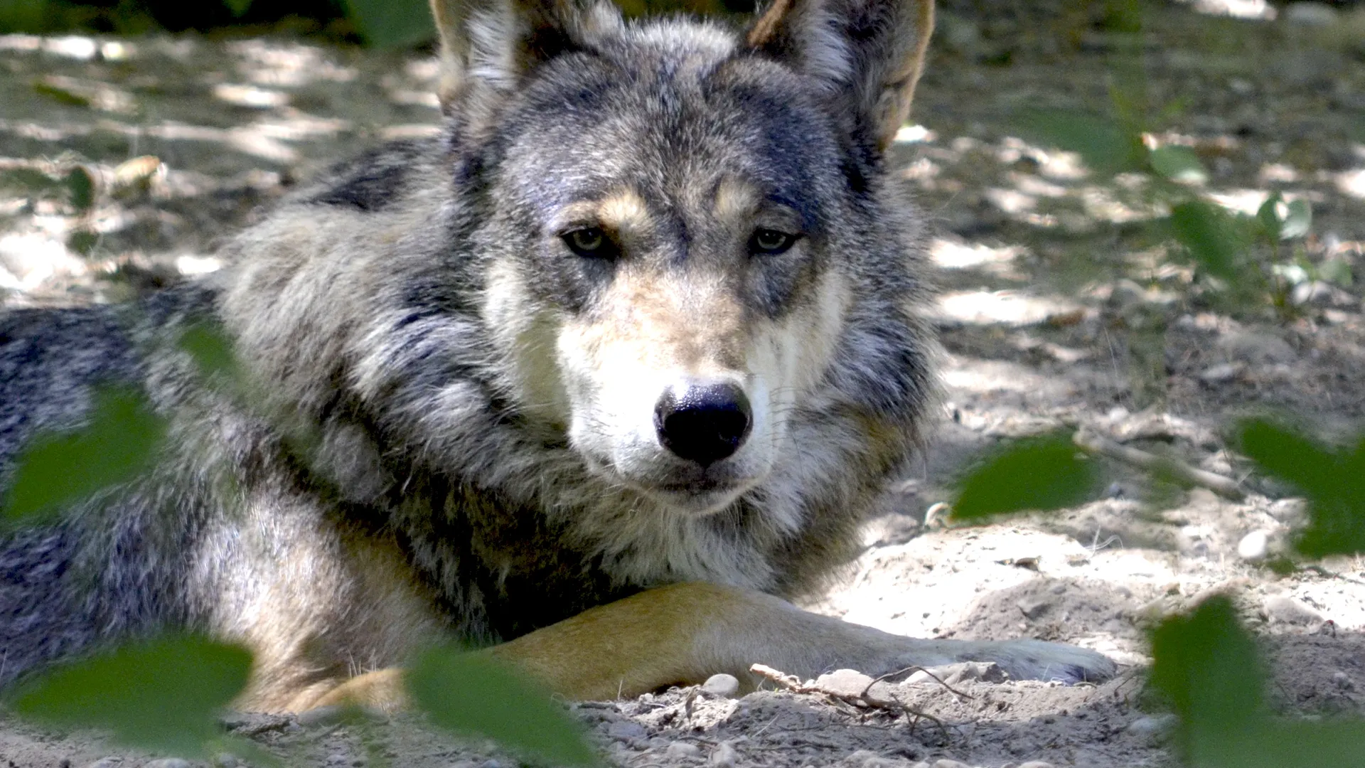 Фото: pxhere.com