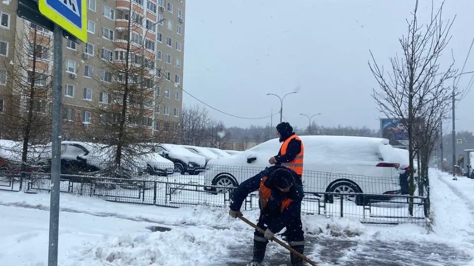 Фото: пресс-служба администрации г.о. Подольск