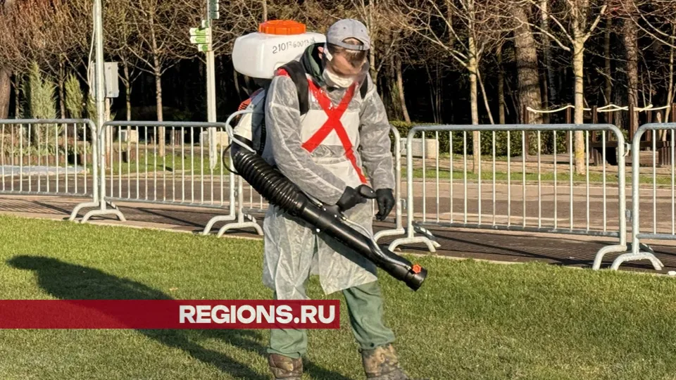 Автор: Мария Шматкова