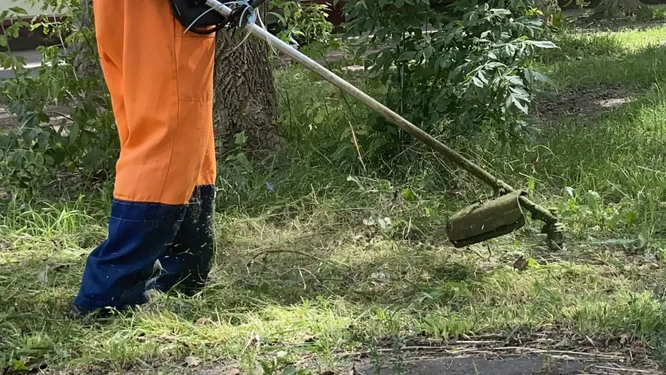 Фото: МедиаБанк Подмосковья/Юлия Лысихина