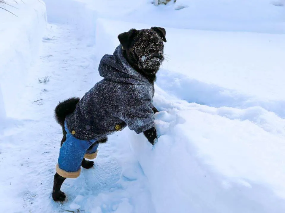 REGIONS/Роман Малышенко