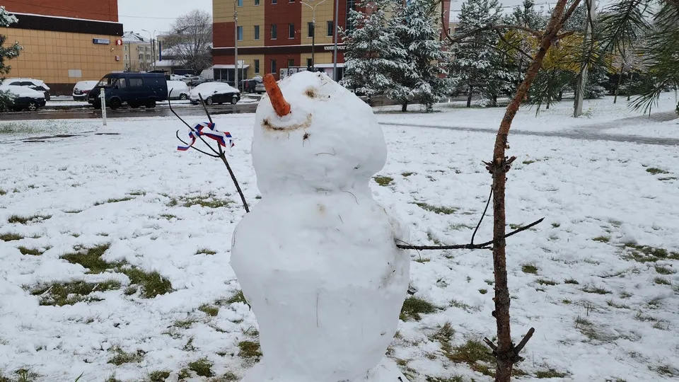 Фото: МедиаБанк Подмосковья/Валерия Тингаева