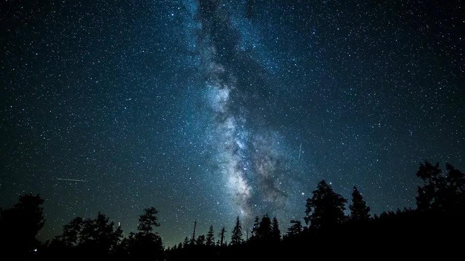 Фото: pxhere.com