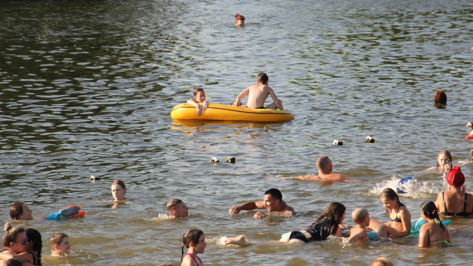 Фото: Министерство благоустройства Московской области