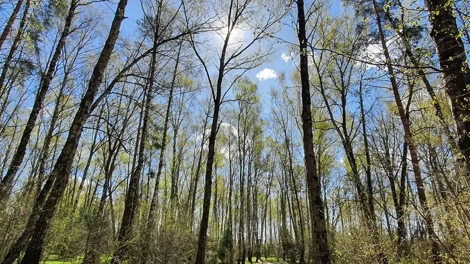 Фото: Наталия Надточая