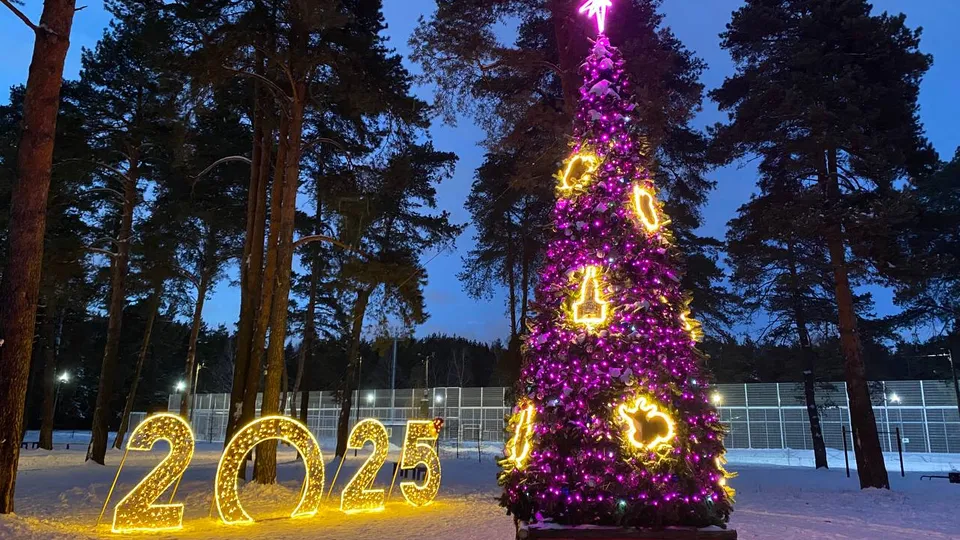 Фото: пресс-служба администрации г.о.Котельники