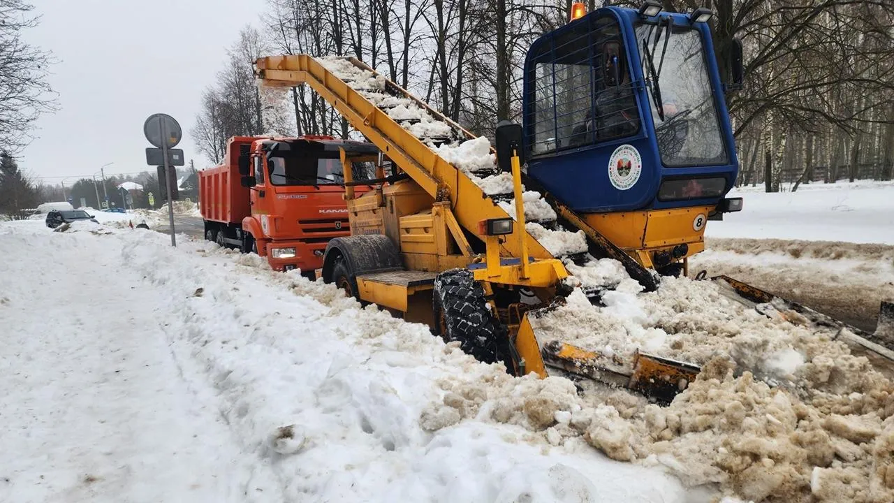 REGIONS/Анна Панина