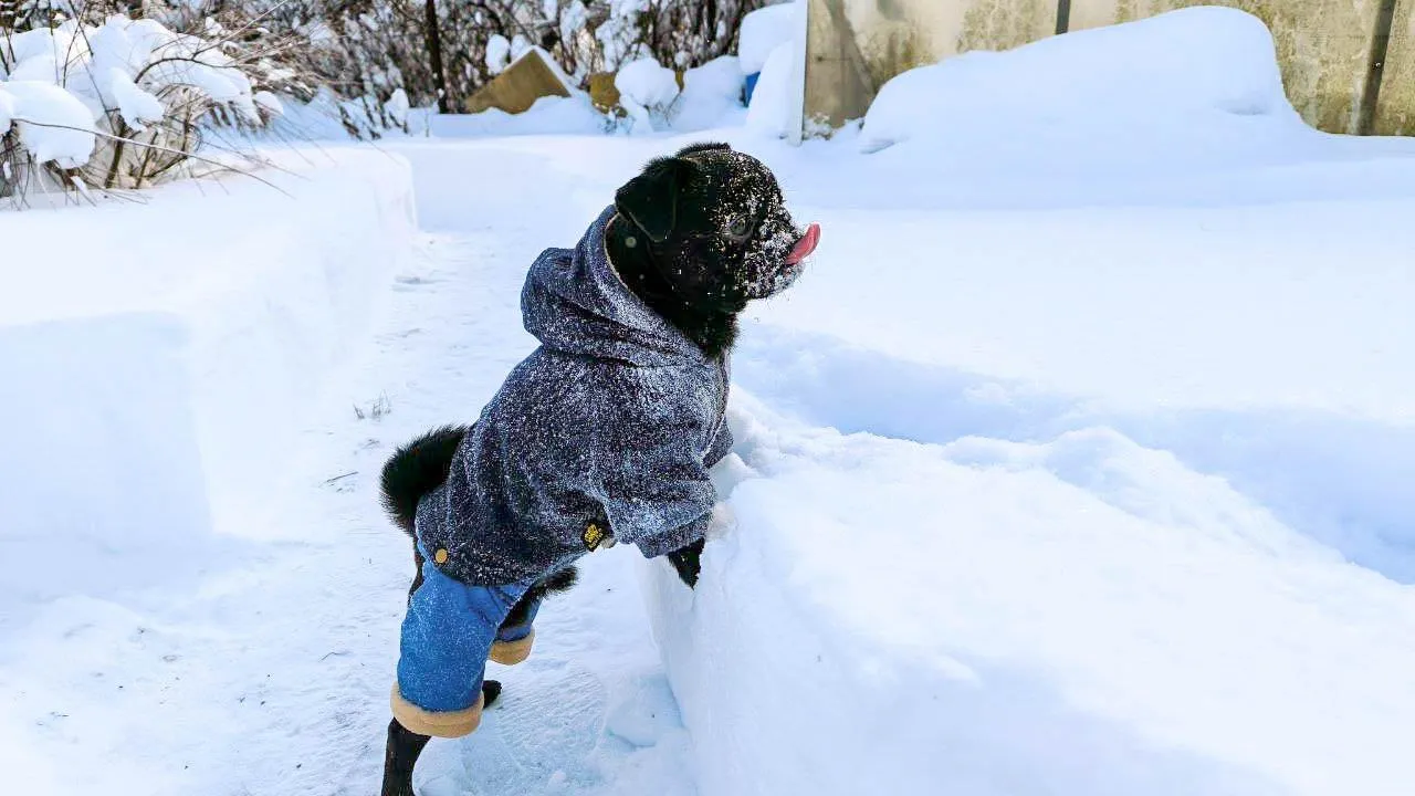 REGIONS/Роман Малышенко
