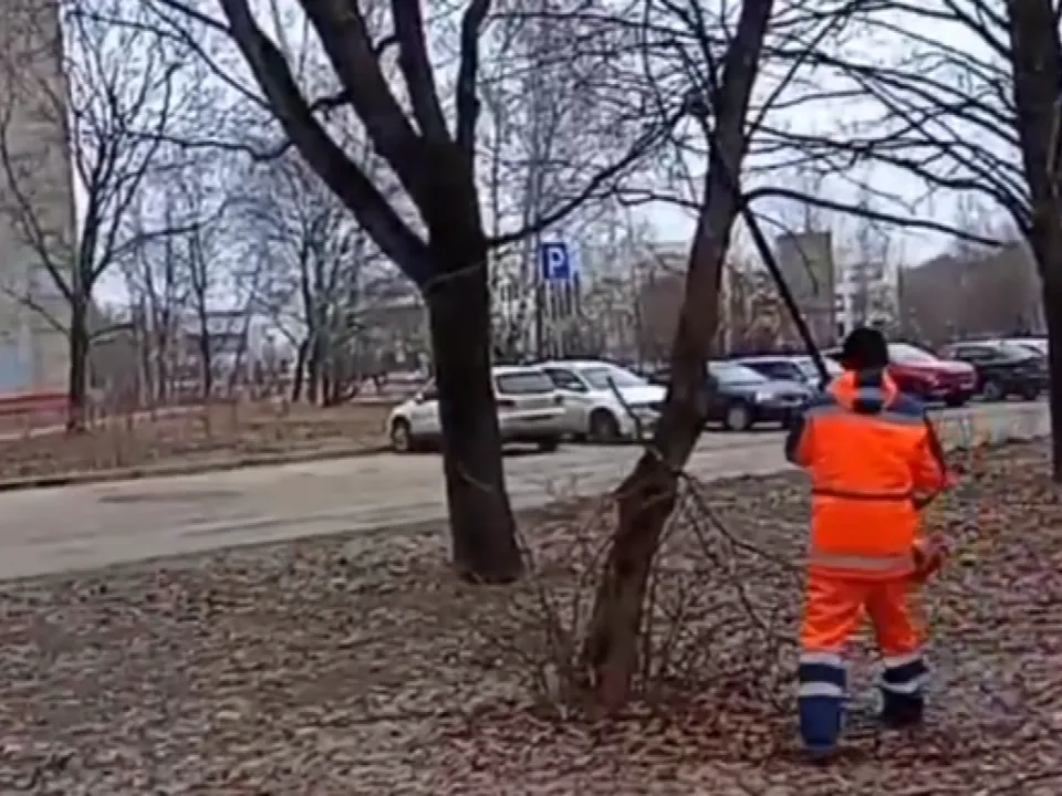 Фото: пресс-служба администрации г. о. Черноголовка<br>