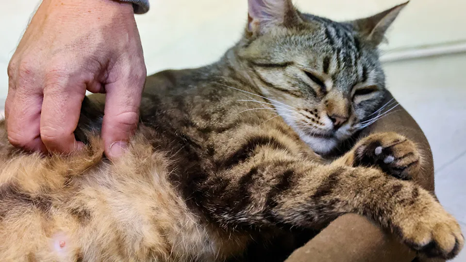 Фото: ТАСС/Евгений Мессман