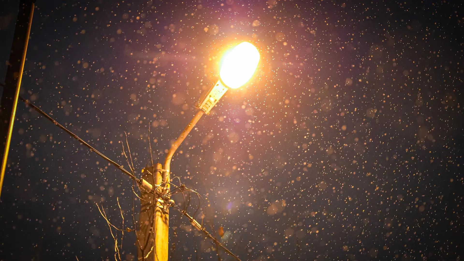 МедиаБанк Подмосковья/Данила Кирьянов