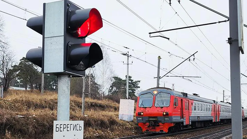 Фото: МедиаБанк Подмосковья/Андрей Семибратов