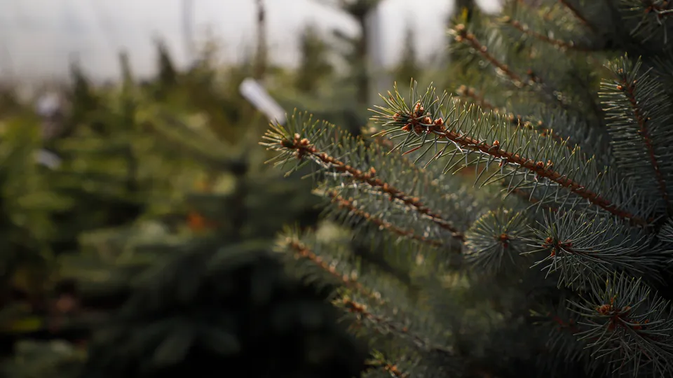 Фото: REGIONS/Наталия Надточая