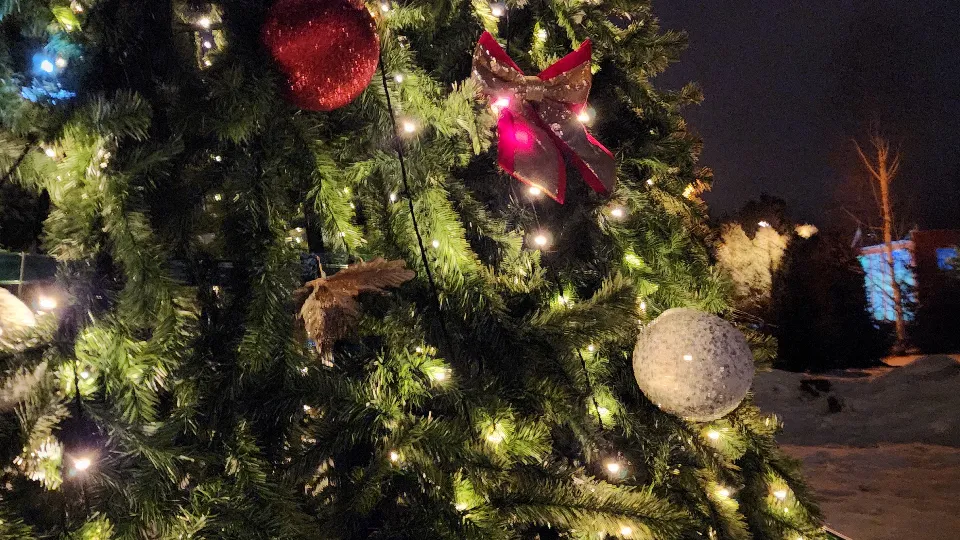 Фото: МедиаБанк Подмосковья/Андрей Семибратов