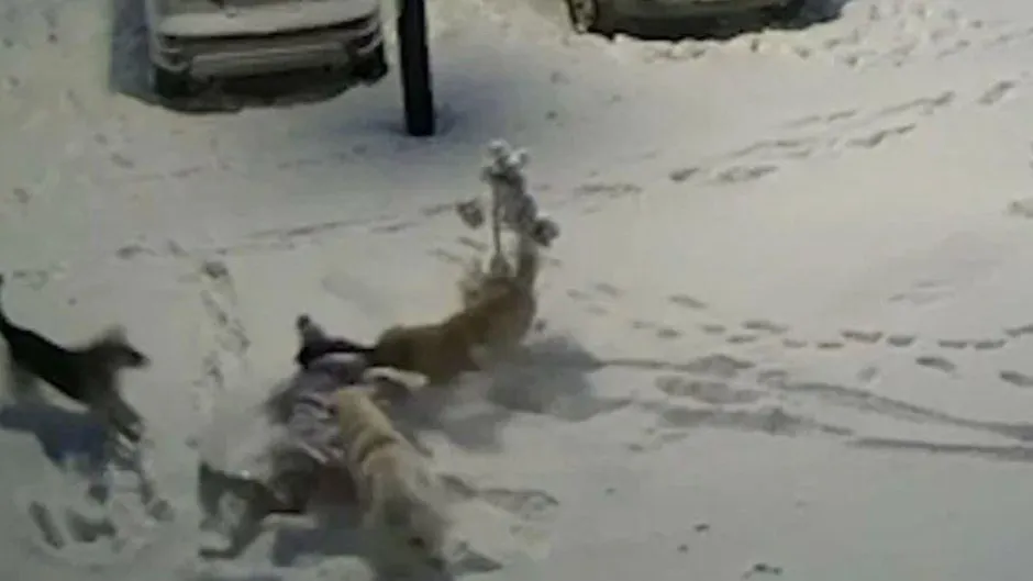 Фото: ВКонтакте группа Новый Уренгой ЧС