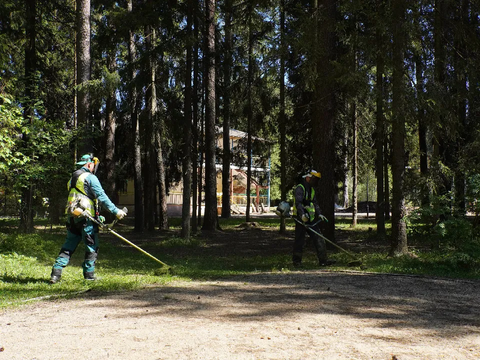 Фото: пресс-служба администрации г.о. Дубна