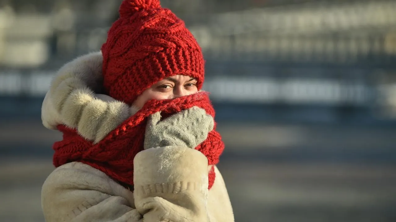 медиасток.рф