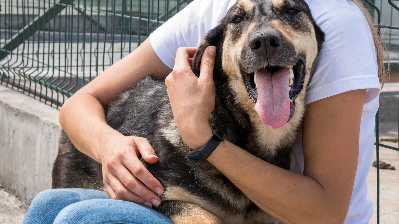 Фото: freepik.com