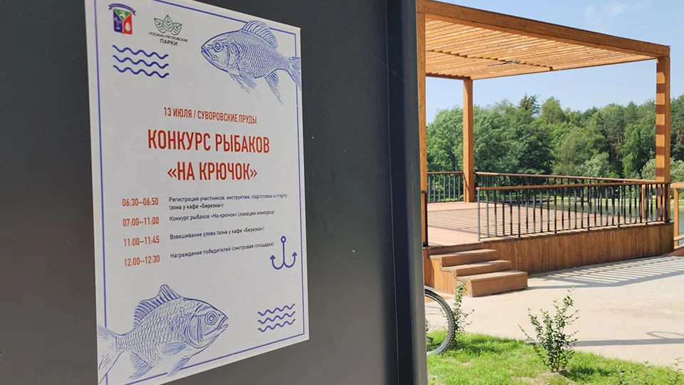 Фото: REGIONS/Валерия Тингаева