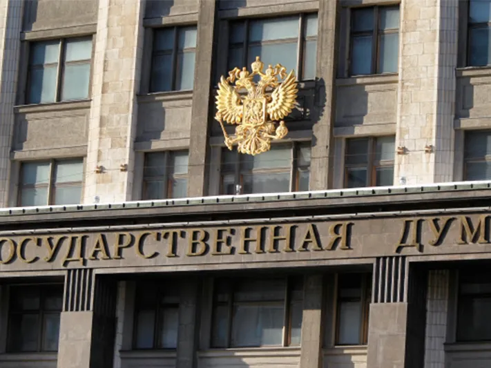 В Госдуме назвали идеологию чайлдфри гнилью в красивой обертке