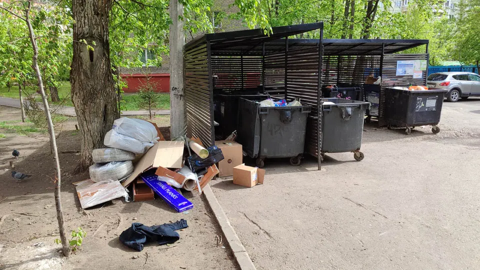 Фото: Дмитрий Кравцов