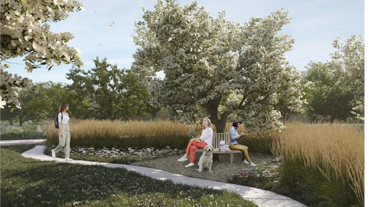 Источник: проект благоустройство Яблоневого сада