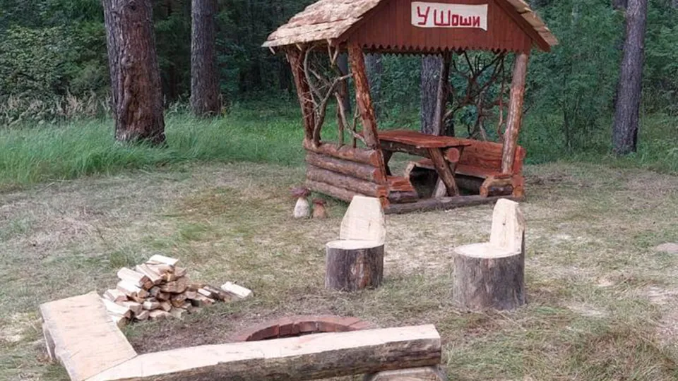 Фото: Комитет лесного хозяйства Московской области