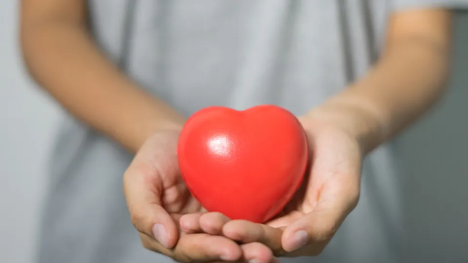 Фото: pxhere.com