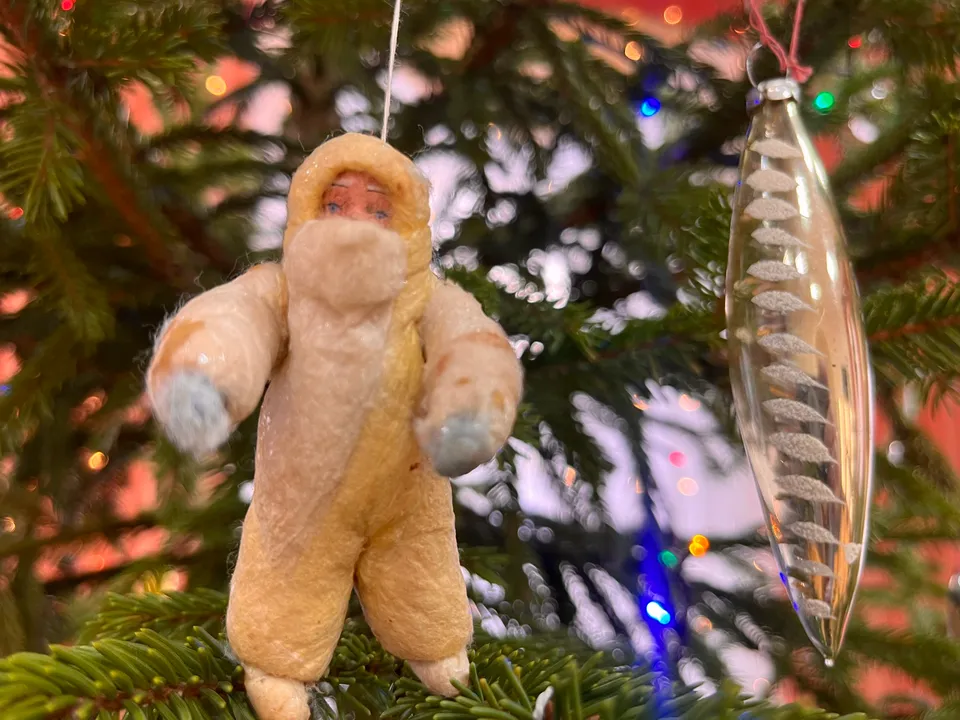 Фото: МедиаБанк Подмосковья/Анна Тюрюмина