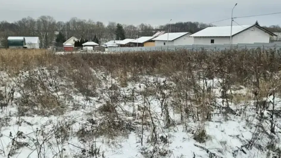 Фото: Единый портал торгов МО ЕАСУЗ