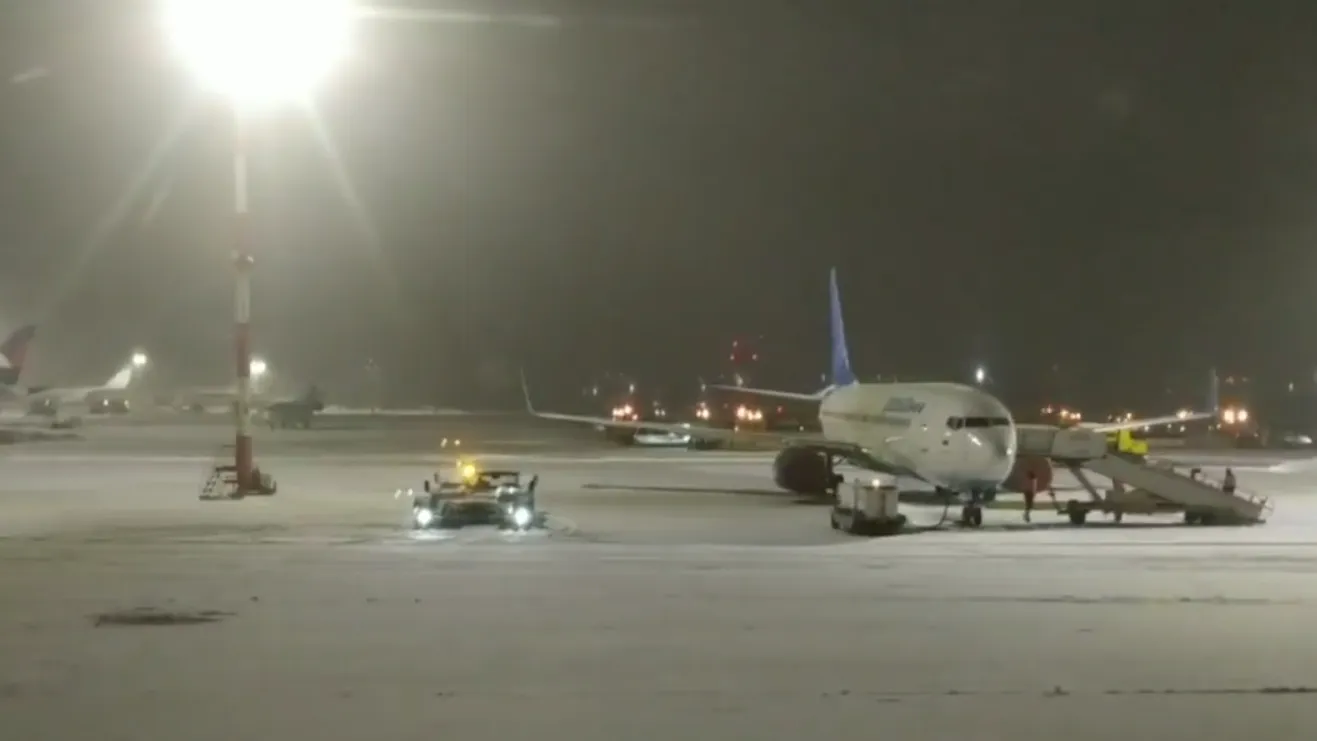 Скриншот видео РИА «Новости»