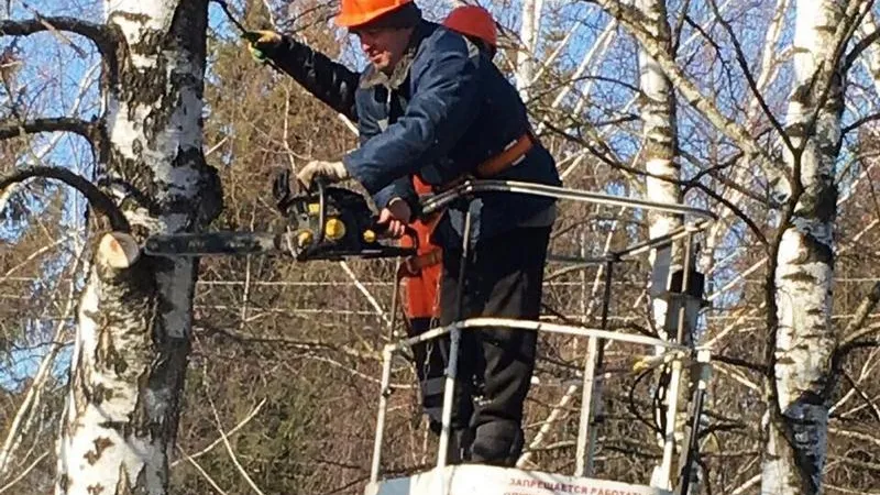 Более 800 человек поучаствовали в субботнике в Королеве
