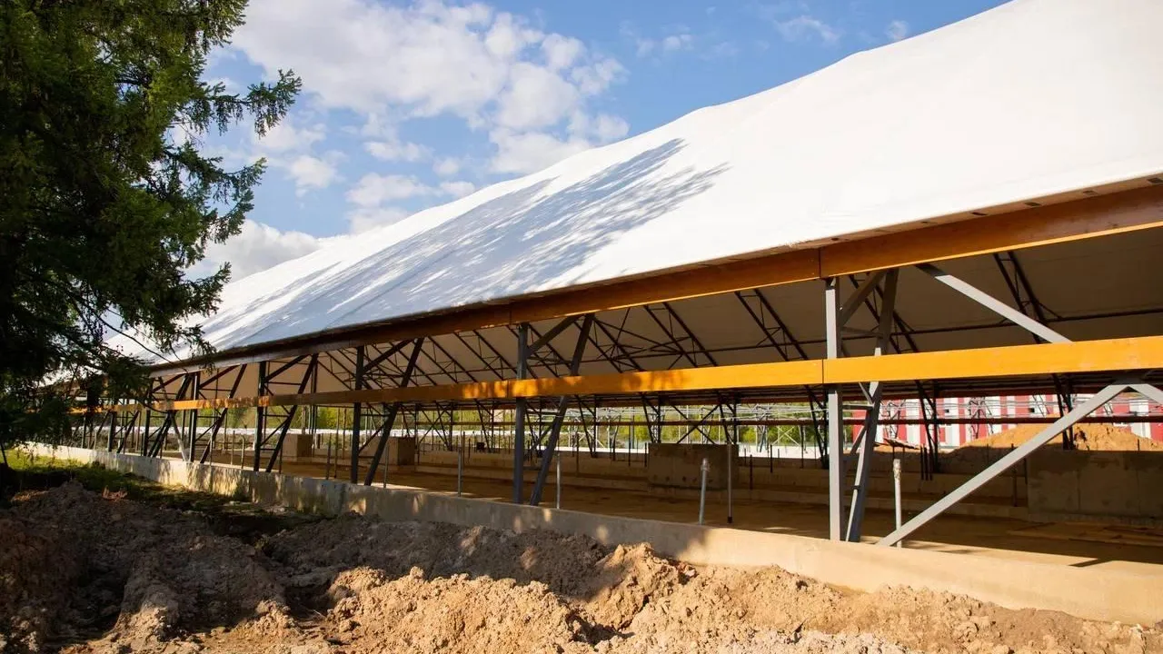 Фото: пресс-служба администрации г. о. Домодедово