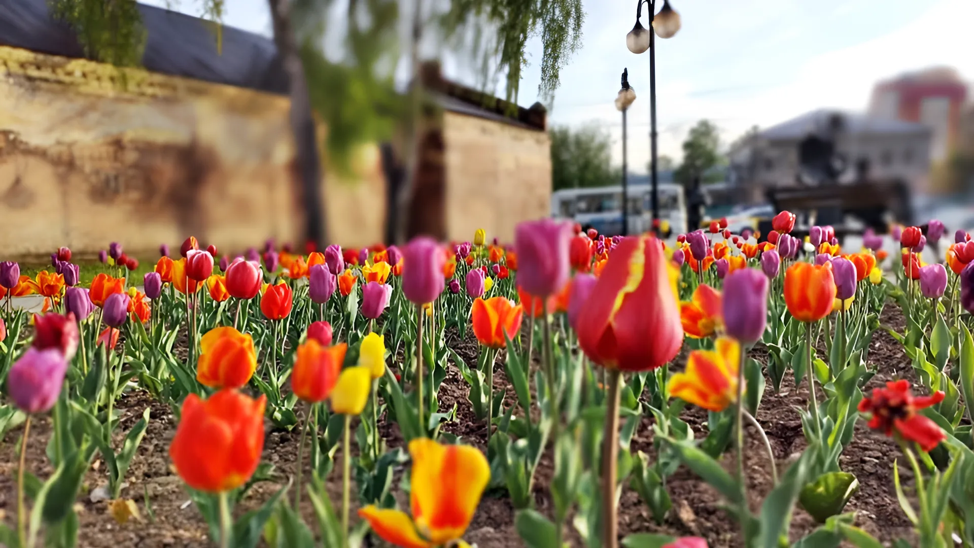 Фото: REGIONS/Алексей Селиверстов