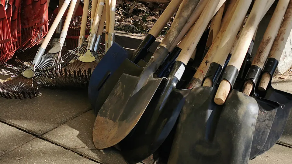 Фото: Евгений Лавряшин