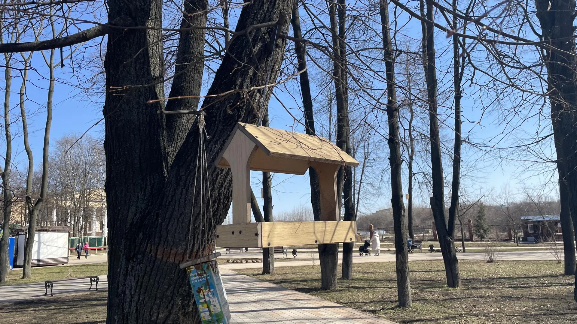 Роман Рамазанов