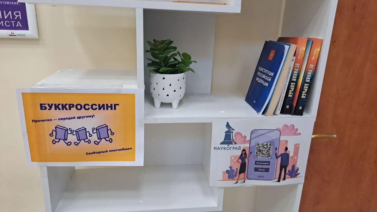 Источник фото: МФЦ г.о. Реутов