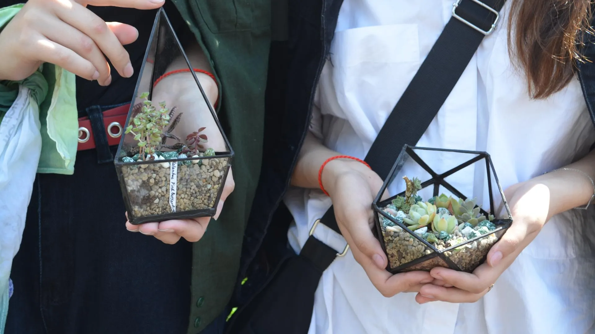 Фото: Иван Петрушин