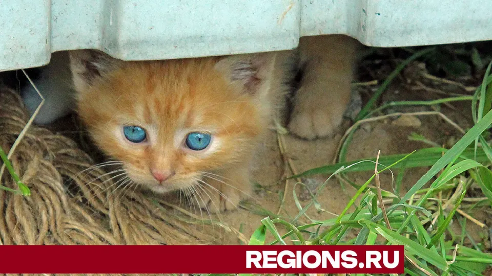 Фото: Анна Буглаева