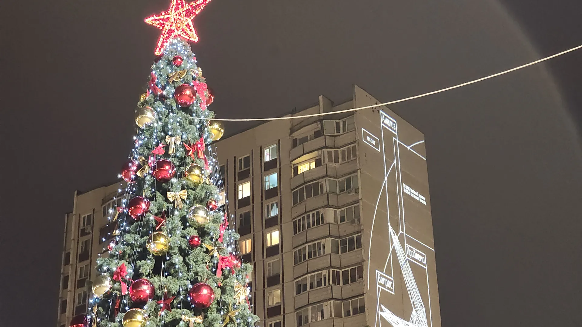 Фото: МедиаБанк Подмосковья/REGIONS