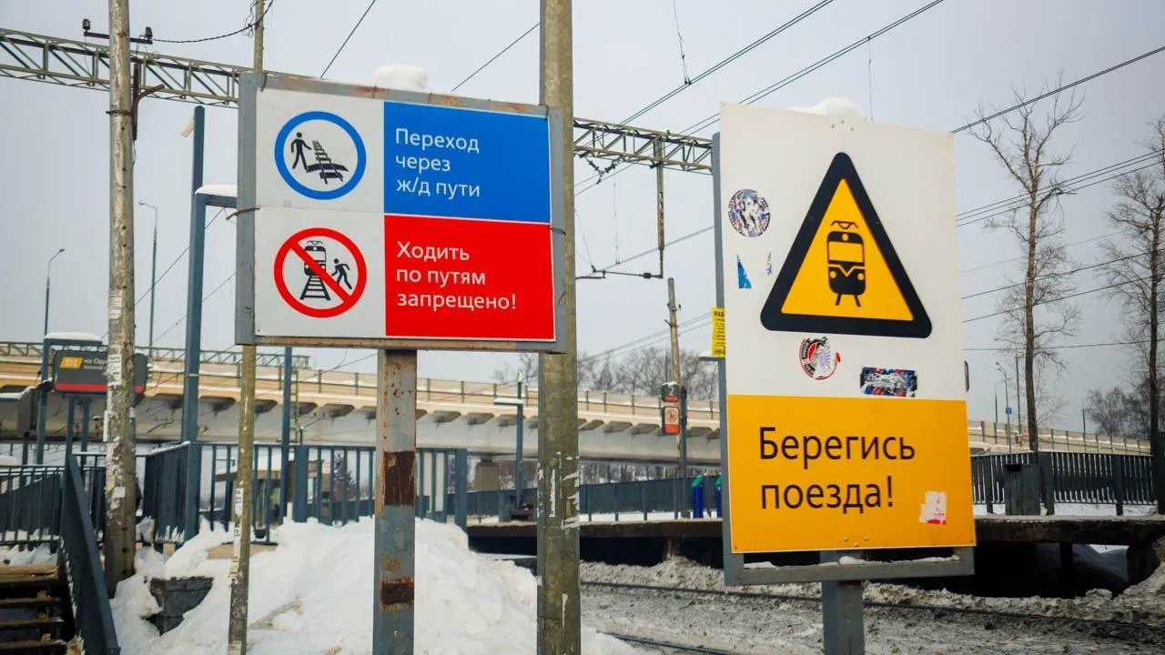 REGIONS/Сергей Шешин