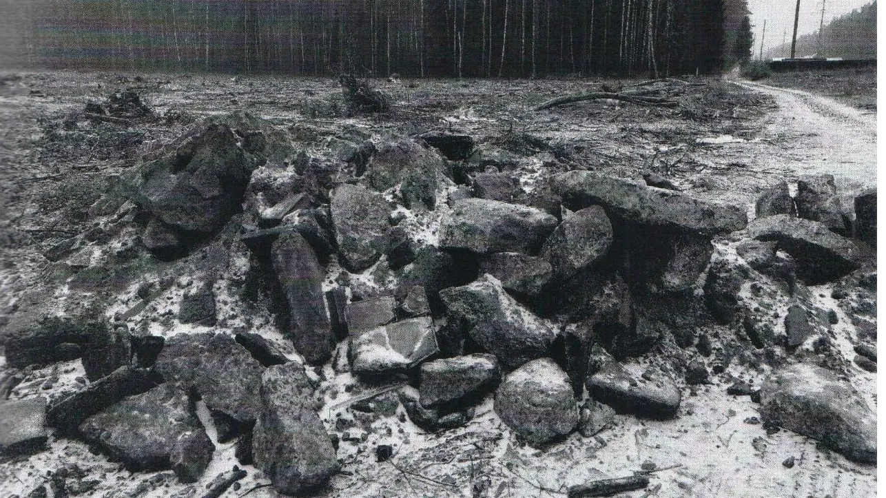 фото из материалов судебного дела