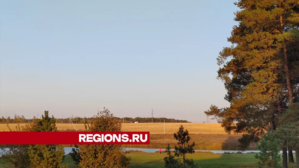Фото: REGIONS/Евгений Мазепов