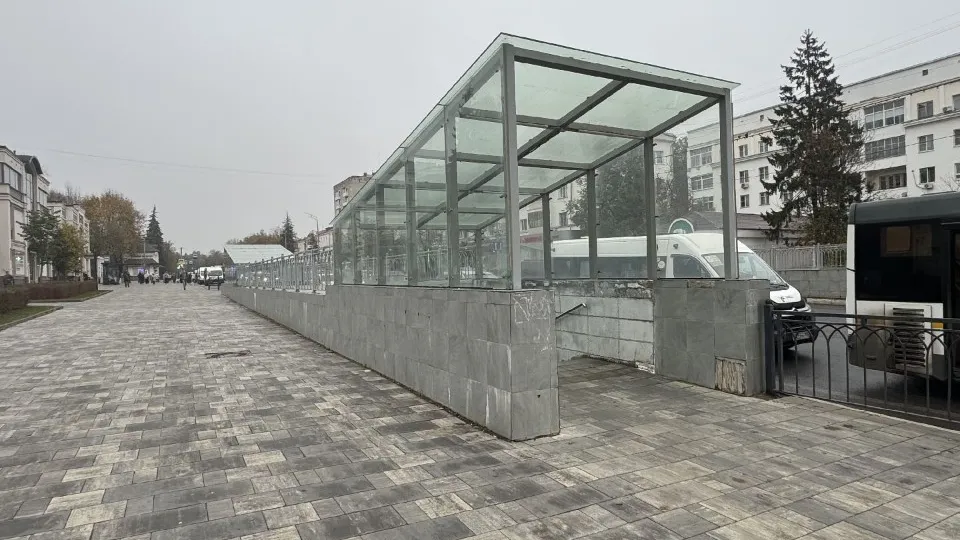 Фото: REGIONS/Татьяна Сташенко