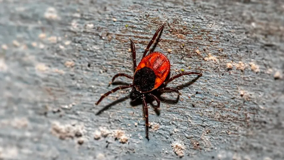 Фото: unsplash.com