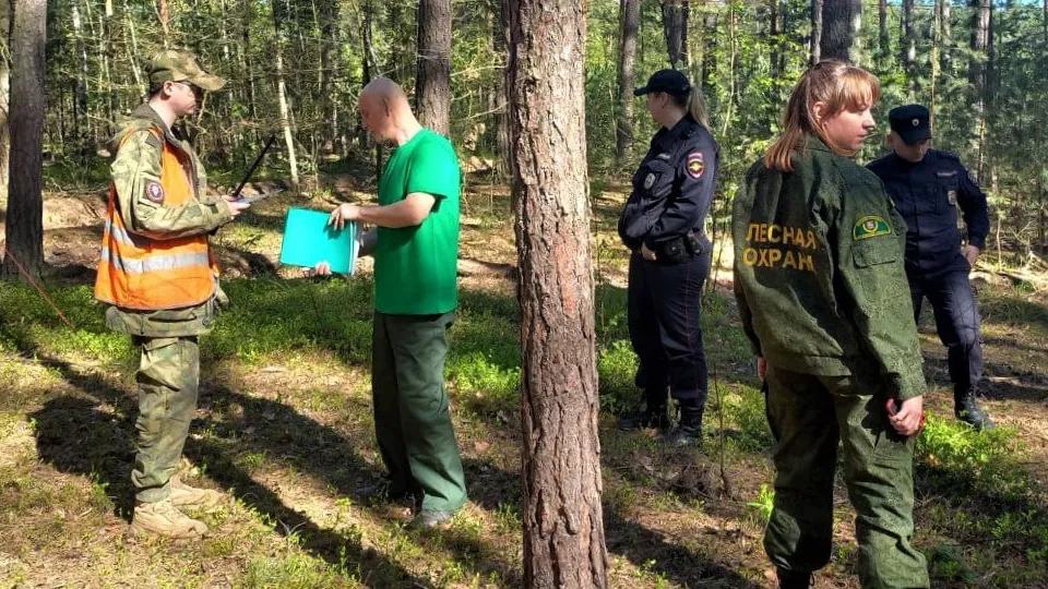 Фото: t.me/mosoblcomles